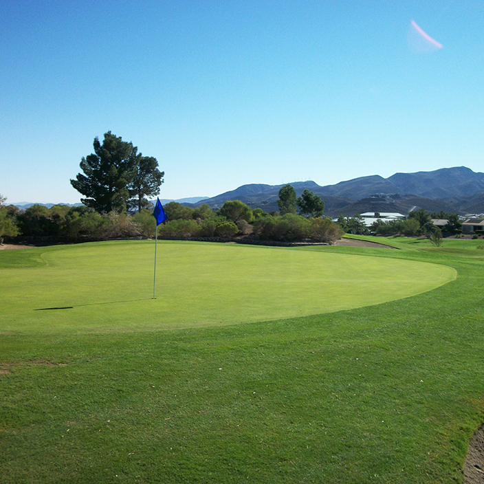 Home Desert Willow Golf Course
